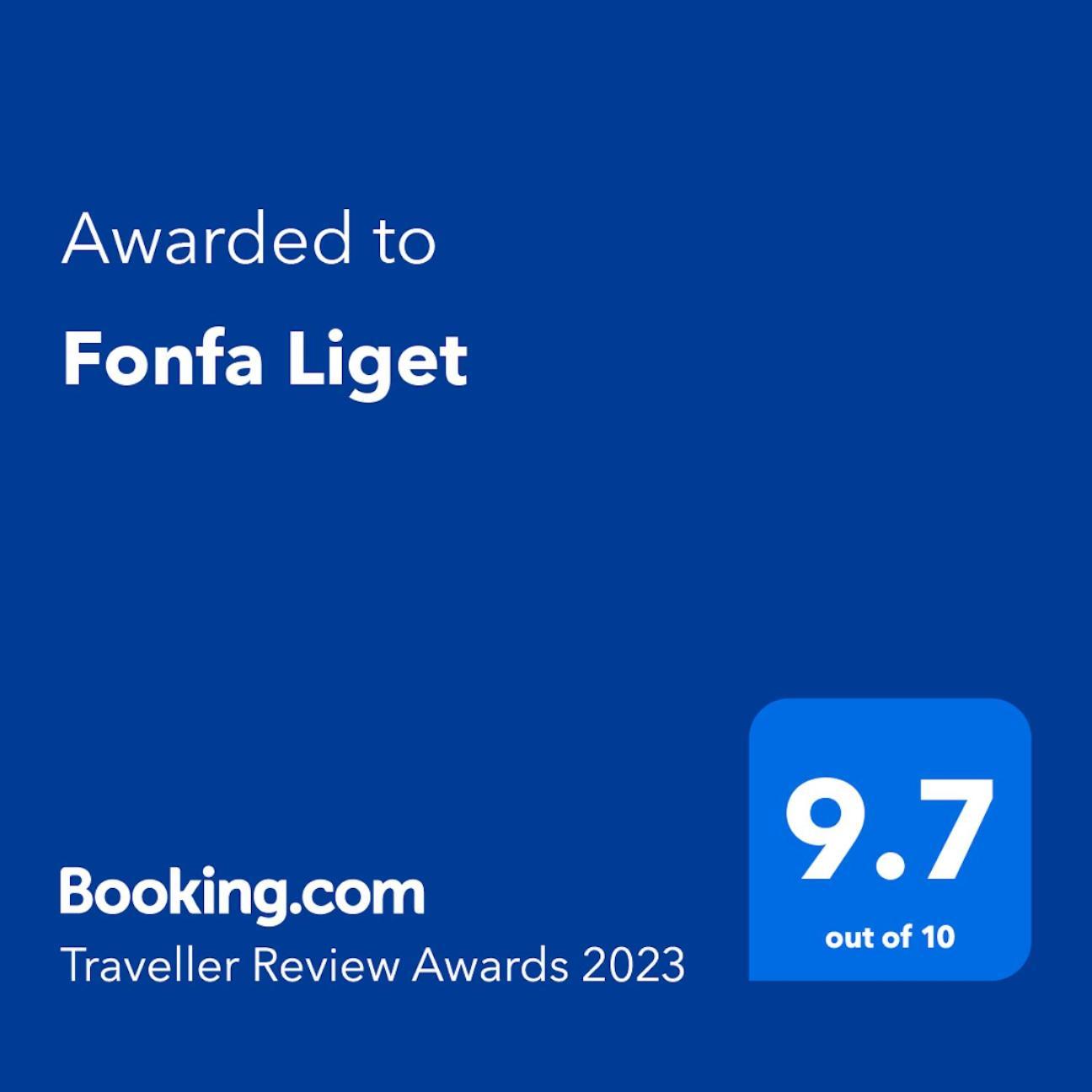 Fonfa Liget Hotel Senye Exterior photo