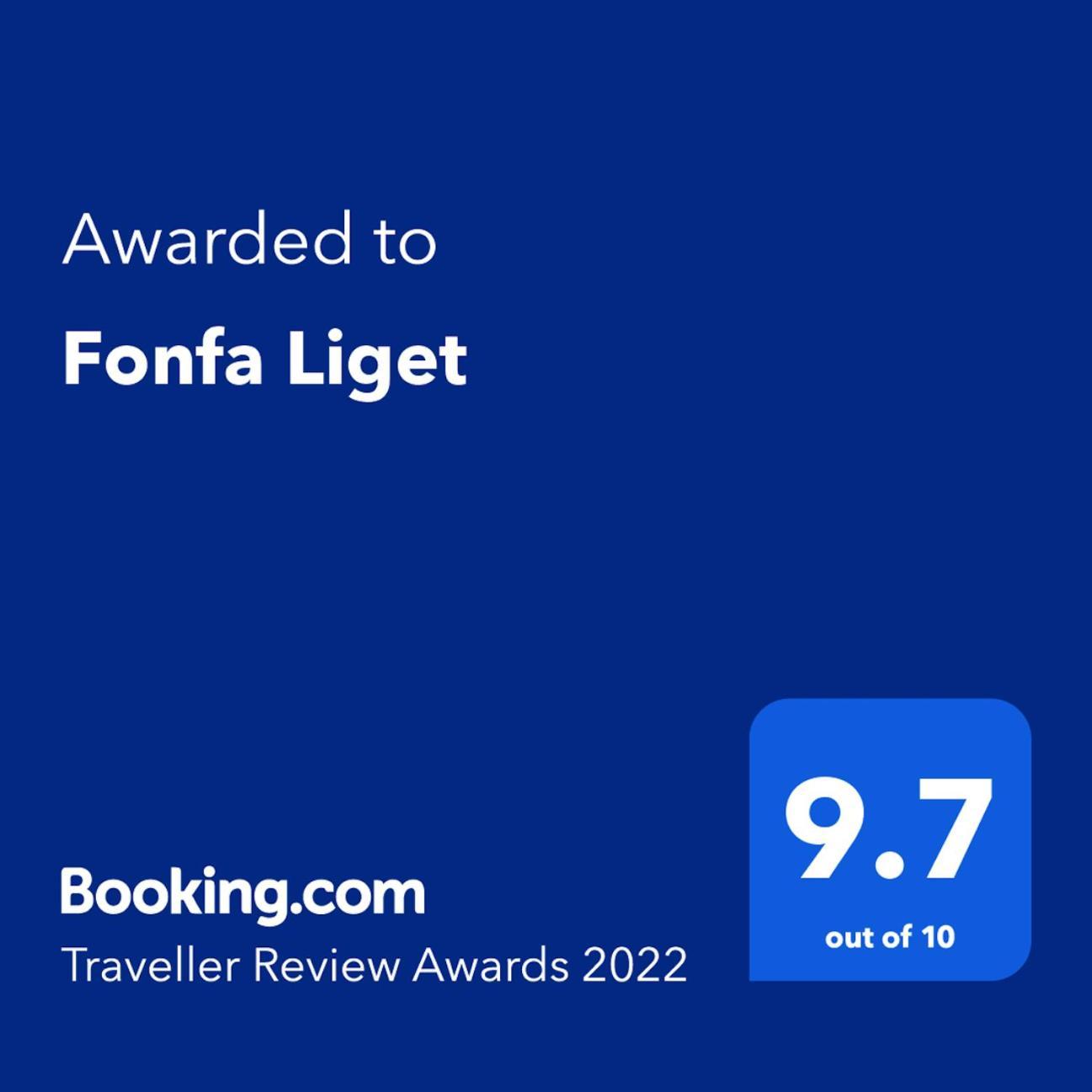 Fonfa Liget Hotel Senye Exterior photo