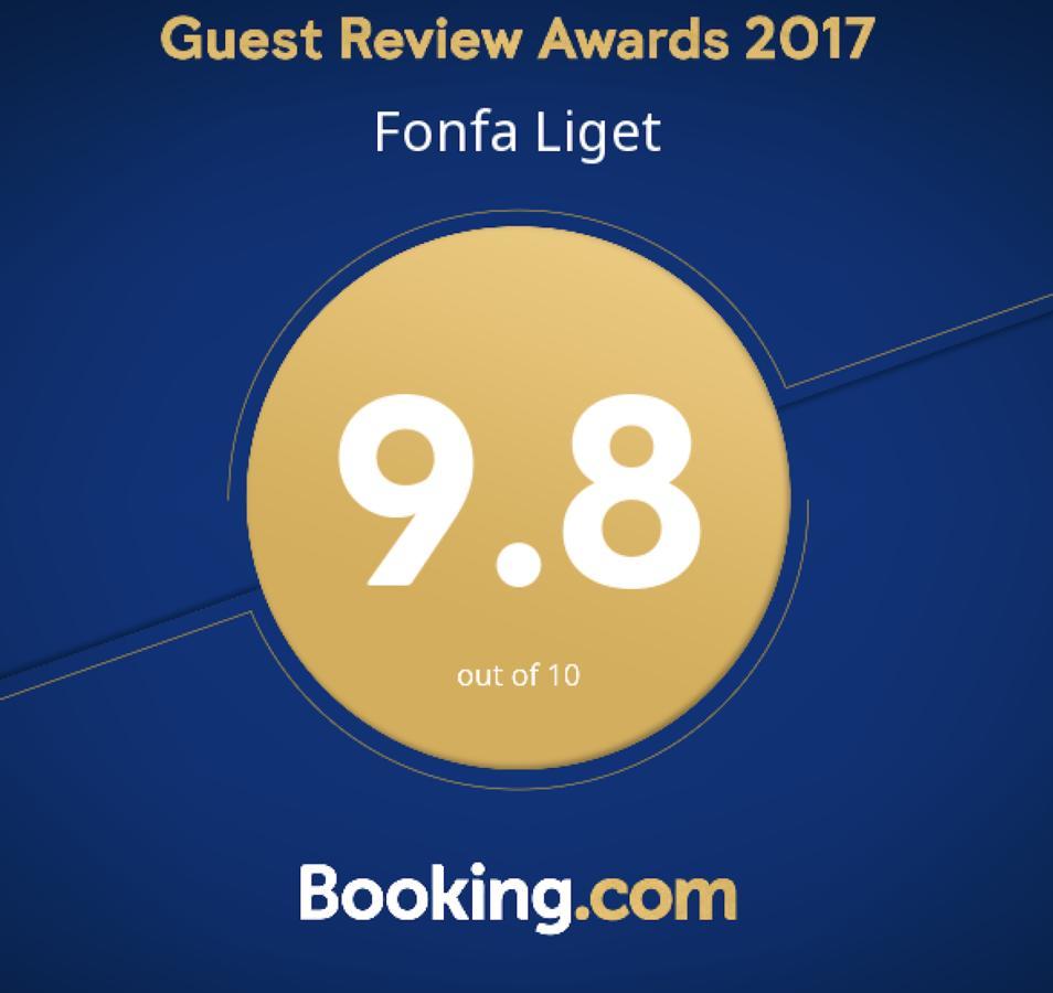 Fonfa Liget Hotel Senye Exterior photo